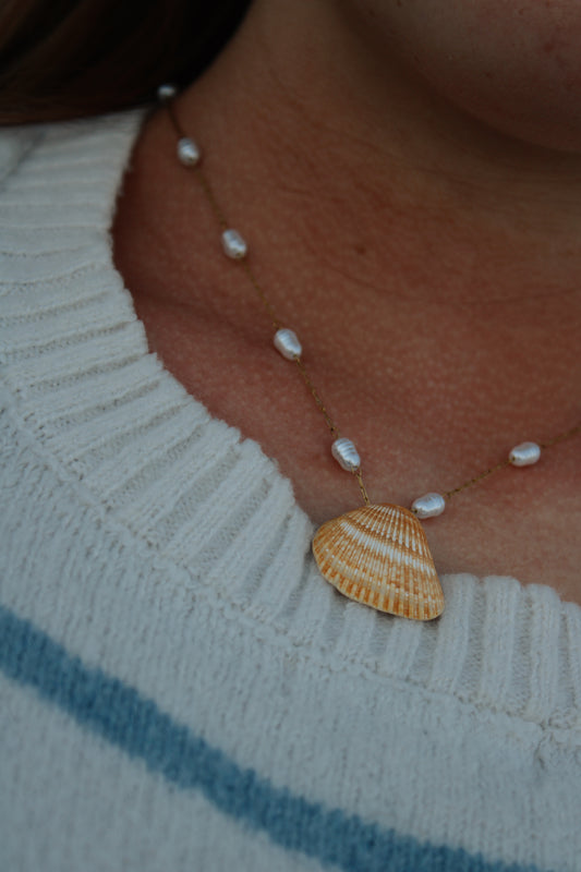 graceful waters shell necklace